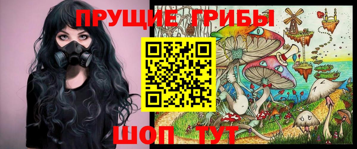 Псилоцибиновые грибы Cubensis Переславль-Залесский