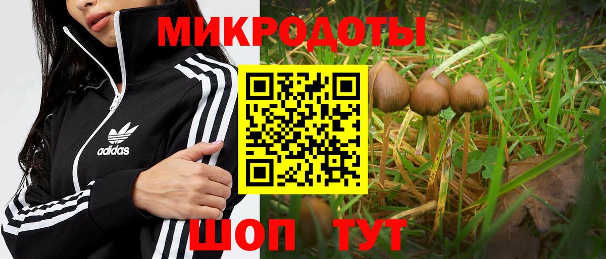 Переславль-Залесский  Галлюциногенные грибы Psilocybine cubensis  Вход с VPN  Псилоцибиновые грибы ЛСД 
